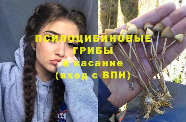 круглые Богородицк